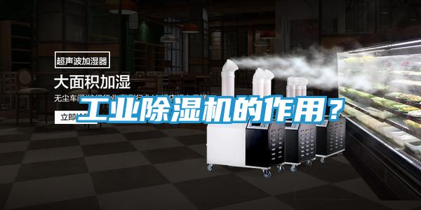 工业除湿机的作用?
