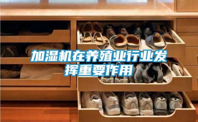 加湿机在养殖业行业发挥重要作用