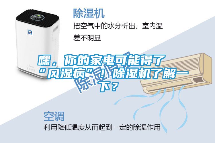嘿，你的家电可能得了“风湿病”！除湿机了解一下？