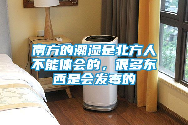 南方的潮湿是北方人不能体会的，很多东西是会发霉的