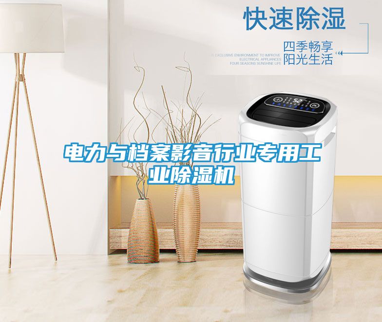 电力与档案影音行业专用工业除湿机