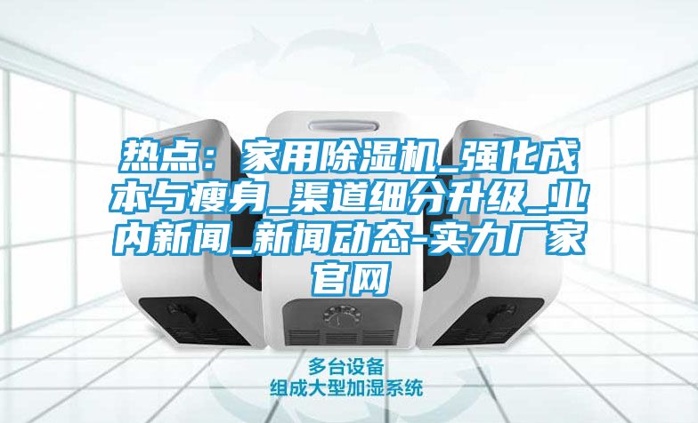 热点:家用除湿机_强化成本与瘦身_渠道细分升级_业内新闻_新闻动态-实力厂家官网