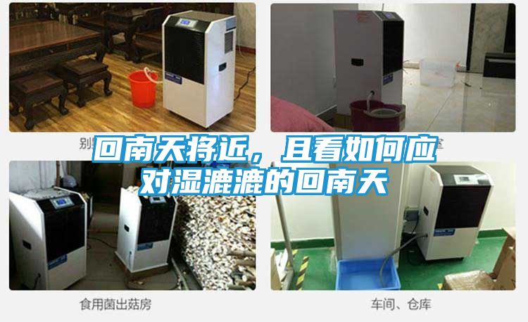 回南天将近，且看如何应对湿漉漉的回南天