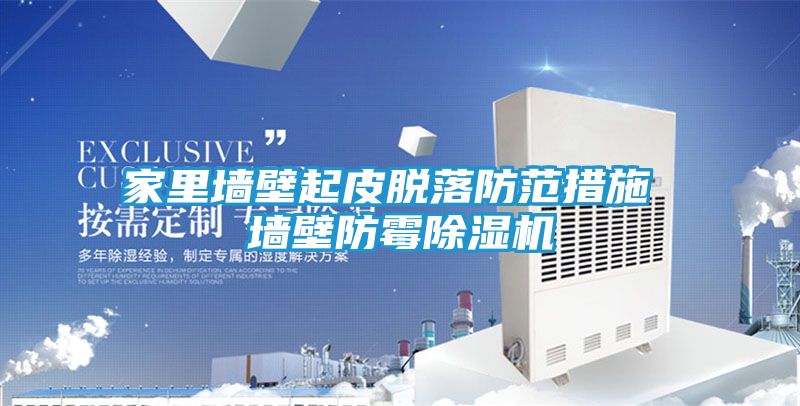 家里墙壁起皮脱落防范措施 墙壁防霉除湿机