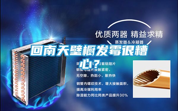 回南天壁橱发霉很糟心?