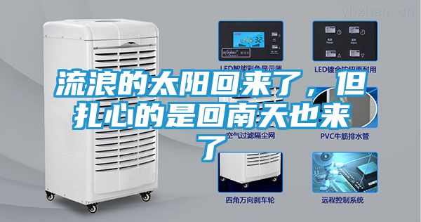 流浪的太阳回来了,但扎心的是回南天也来了