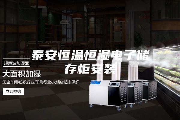 泰安恒温恒湿电子储存柜安装