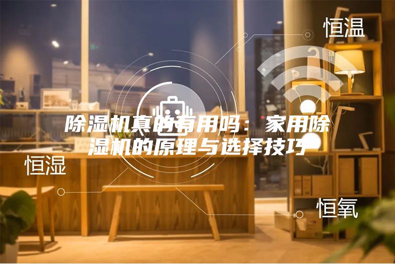 除湿机真的有用吗：家用除湿机的原理与选择技巧