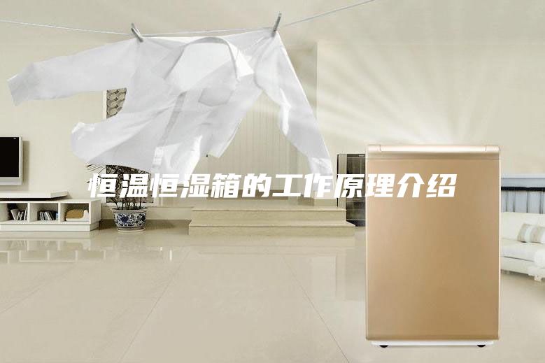 恒温恒湿箱的工作原理介绍