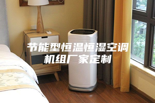 节能型恒温恒湿空调机组厂家定制