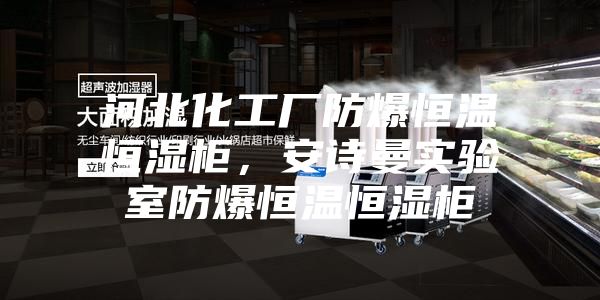 河北化工厂防爆恒温恒湿柜，安诗曼实验室防爆恒温恒湿柜