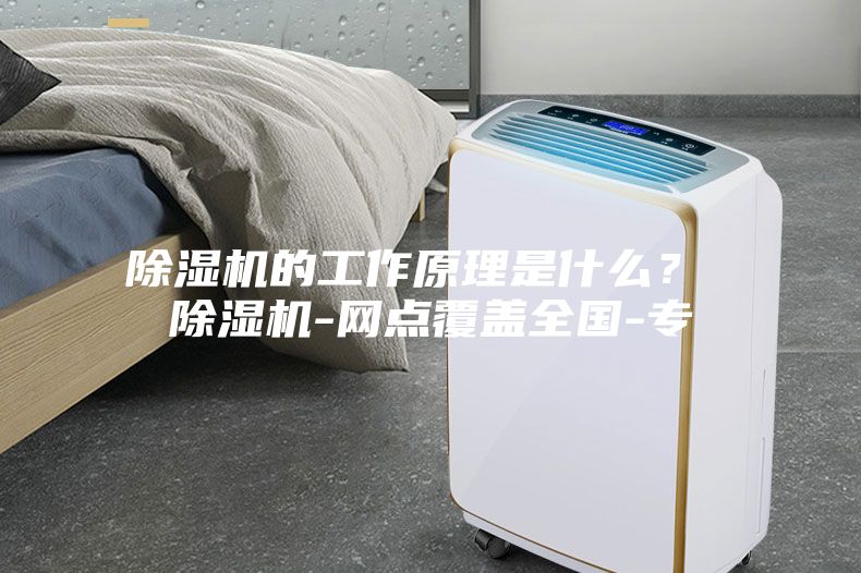 除湿机的工作原理是什么？ 除湿机-网点覆盖全国-专
