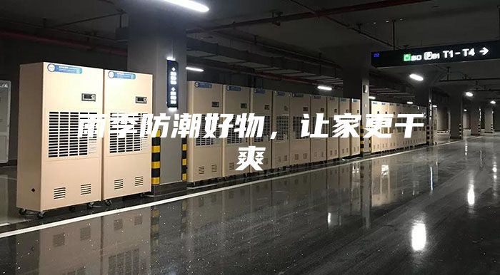 雨季防潮好物，让家更干爽