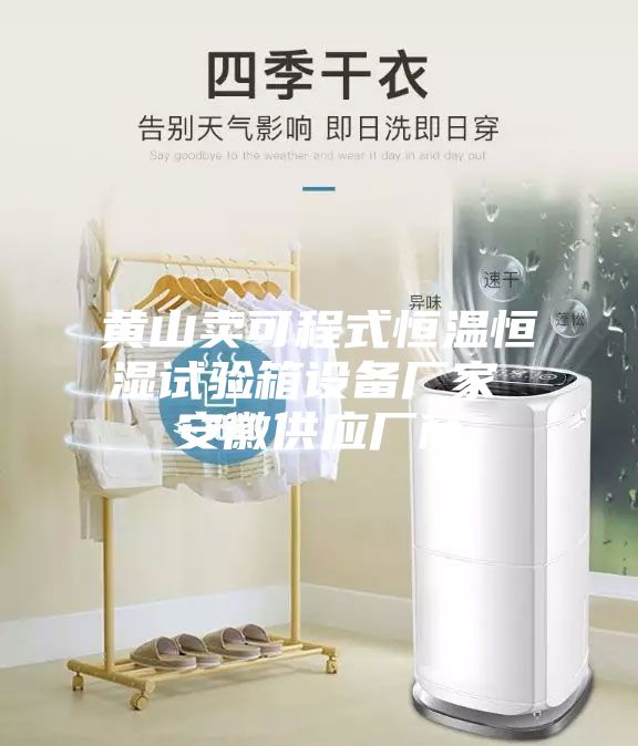 黄山卖可程式恒温恒湿试验箱设备厂家 安徽供应厂商