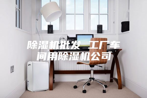 除湿机批发 工厂车间用除湿机公司