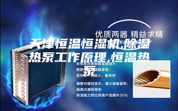 天津恒温恒湿机,除湿热泵工作原理,恒温热泵