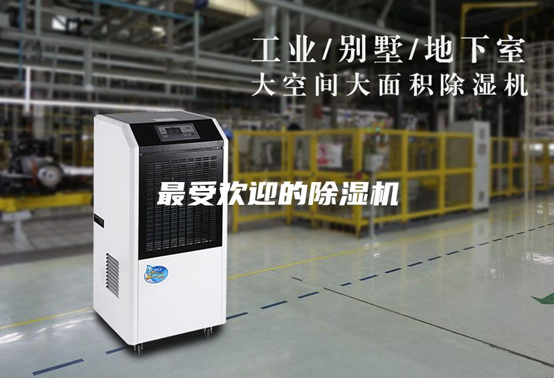 最受欢迎的除湿机