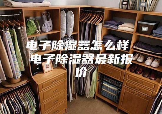 电子除湿器怎么样 电子除湿器最新报价