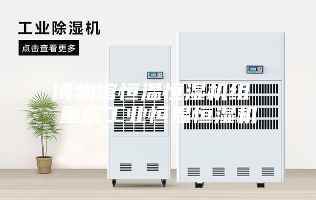 博物馆恒温恒湿机组 重庆工业恒温恒湿机