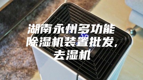 湖南永州多功能除湿机装置批发,去湿机