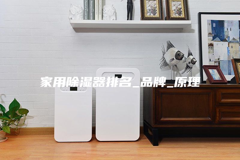家用除湿器排名_品牌_原理