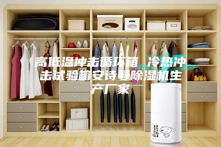 高低温冲击循环箱 冷热冲击试验箱安诗曼除湿机生产厂家