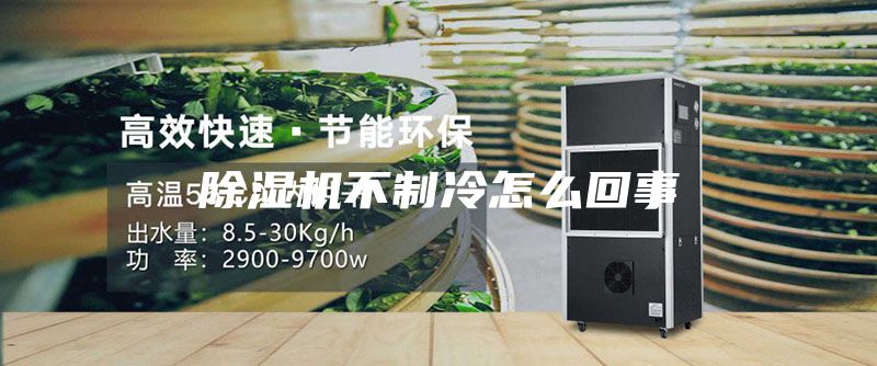 除湿机不制冷怎么回事