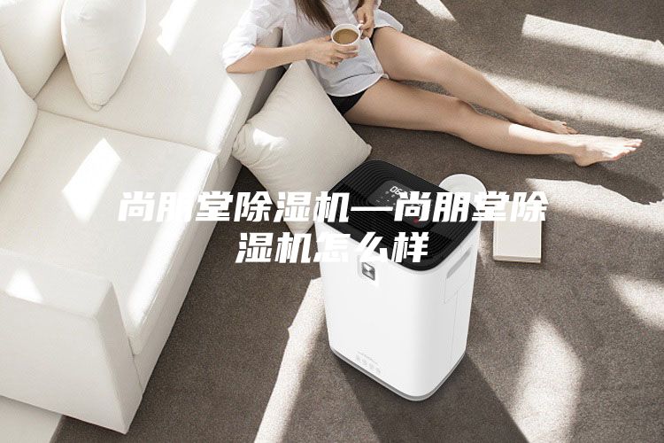 尚朋堂除湿机—尚朋堂除湿机怎么样