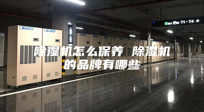 除湿机怎么保养 除湿机的品牌有哪些