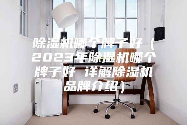 除湿机哪个牌子好（2023年除湿机哪个牌子好 详解除湿机品牌介绍）