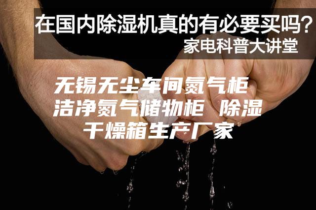 无锡无尘车间氮气柜 洁净氮气储物柜 除湿干燥箱生产厂家