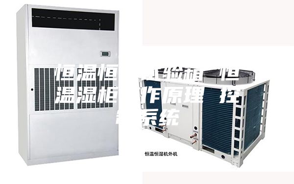 恒温恒湿试验箱 恒温湿柜工作原理 控制系统