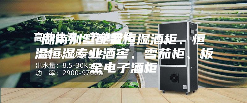 湖南别墅配置恒湿酒柜、恒温恒湿专业酒窖、雪茄柜、板金电子酒柜