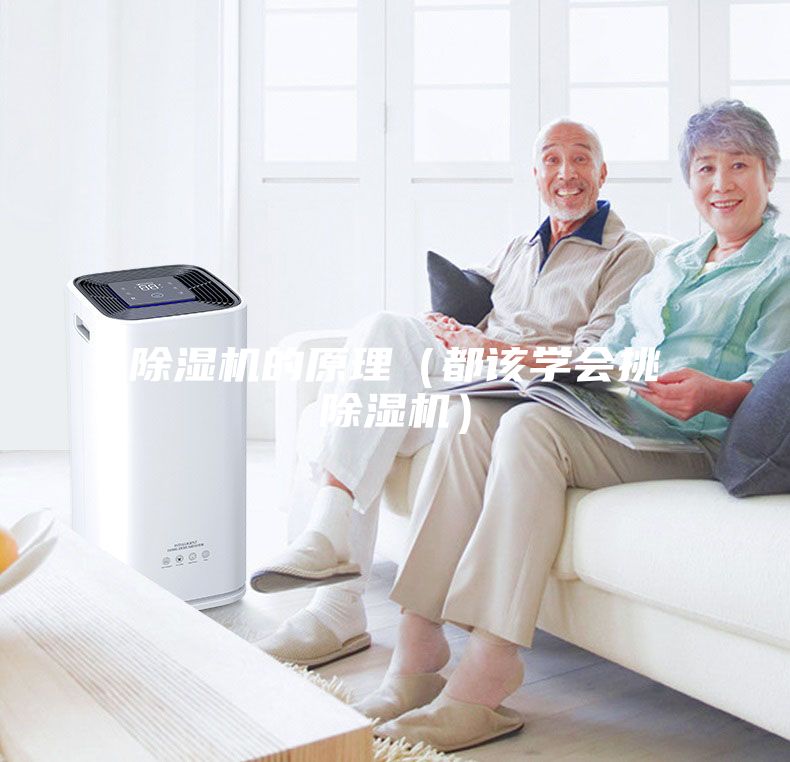 除湿机的原理（都该学会挑除湿机）
