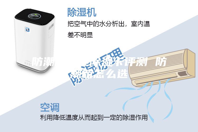 防潮箱物理除湿卡评测 防潮箱怎么选