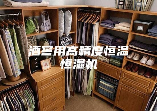 酒窖用高精度恒温恒湿机