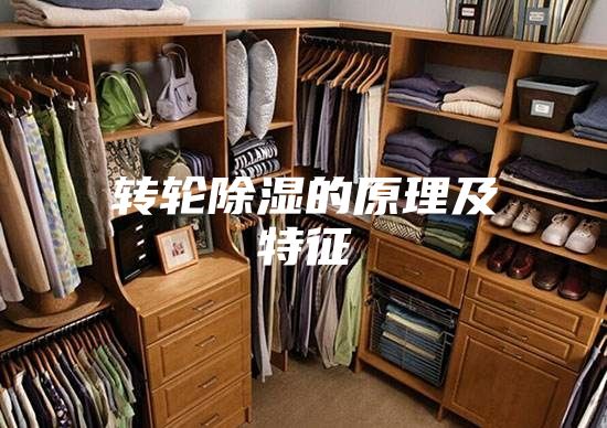 转轮除湿的原理及特征