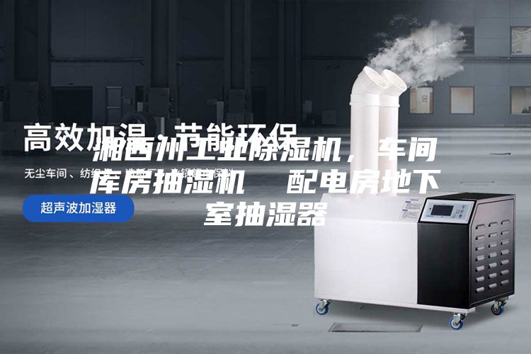 湘西州工业除湿机，车间库房抽湿机  配电房地下室抽湿器