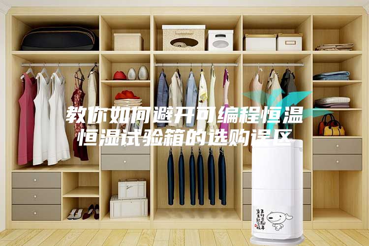 教你如何避开可编程恒温恒湿试验箱的选购误区