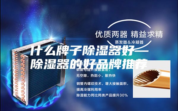 什么牌子除湿器好—除湿器的好品牌推荐