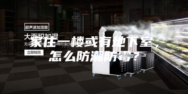 家住一楼或有地下室，怎么防潮防霉？