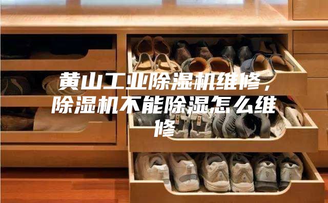 黄山工业除湿机维修，除湿机不能除湿怎么维修