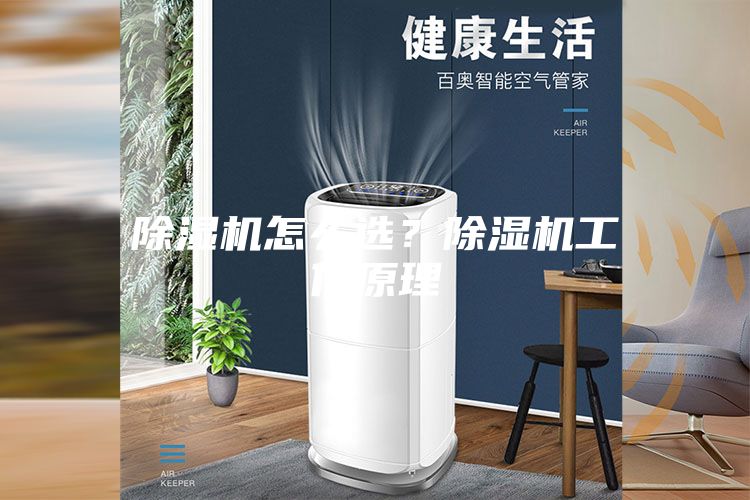 除湿机怎么选？除湿机工作原理
