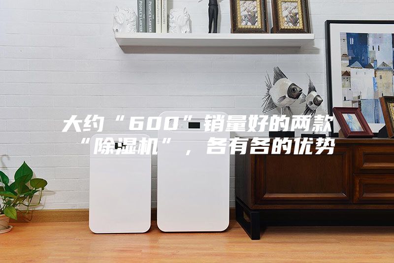 大约“600”销量好的两款“除湿机”,各有各的优势