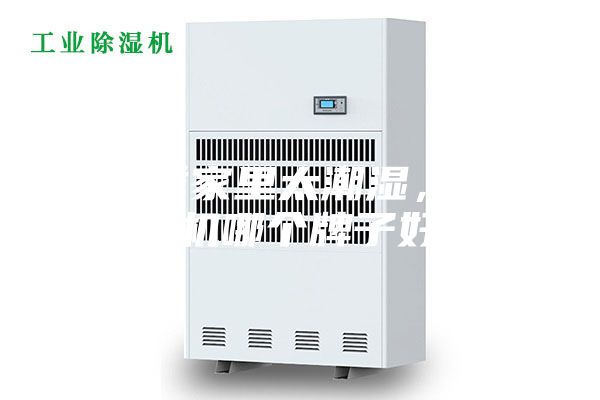 春季家里太潮湿,除湿机哪个牌子好?