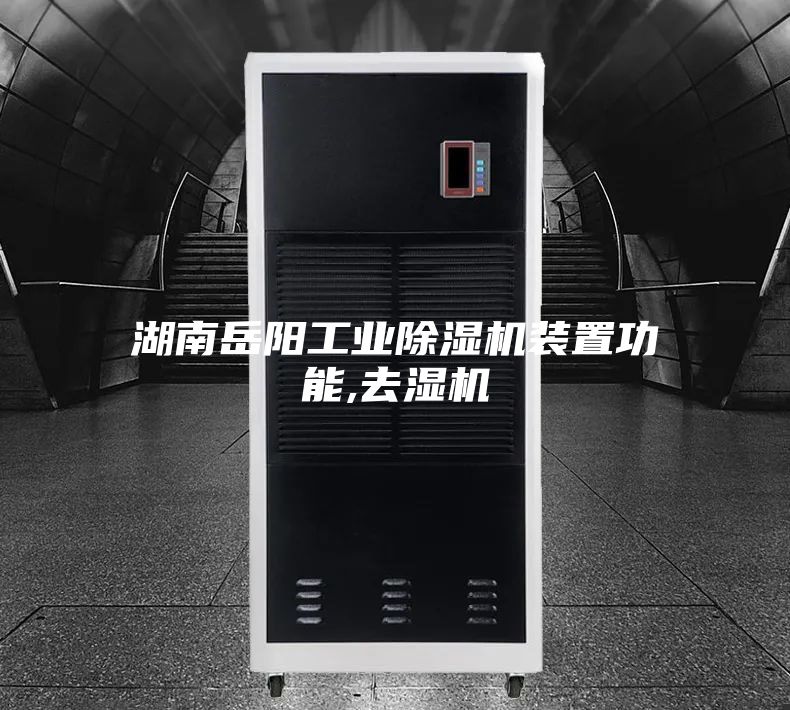 湖南岳阳工业除湿机装置功能,去湿机