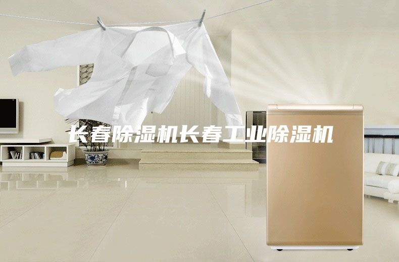 长春除湿机长春工业除湿机