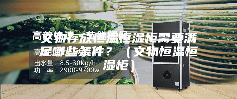 文物存放恒温恒湿柜需要满足哪些条件？（文物恒温恒湿柜）