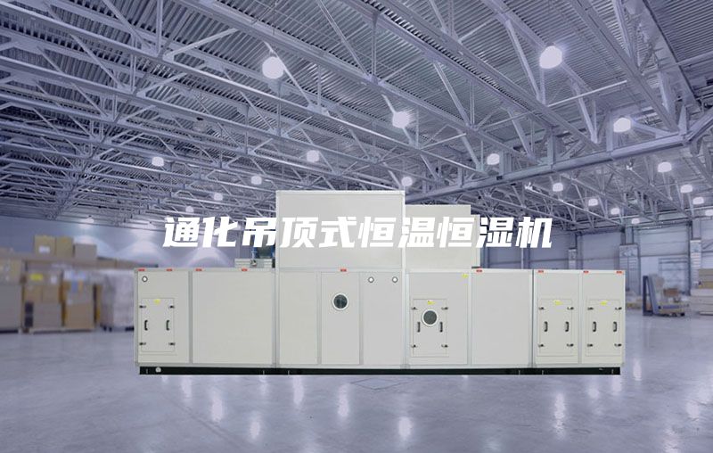 通化吊顶式恒温恒湿机