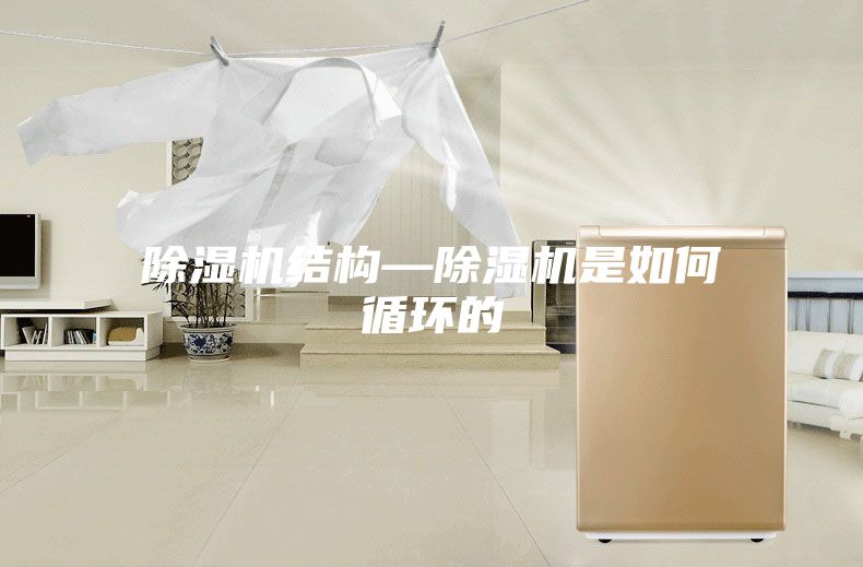 除湿机结构—除湿机是如何循环的